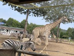 -大连森林动物园