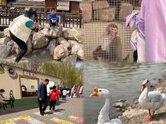 -河北村民俗体验园