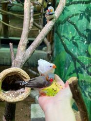 -Zoolung Zoolung动物主题公园(海信广场店)