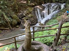 -莫里热带雨林景区