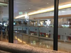 -gaga(深圳南山益田假日广场店)