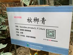 -呀路古热带植物园