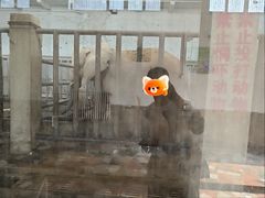 -保定市动物园