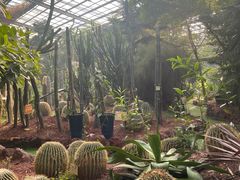 -呀路古热带植物园