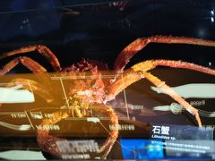 -同济大学四平路校区深海探索馆