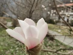 -秦岭终南山世界地质公园翠华山景区