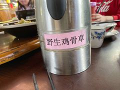 野生鸡骨草茶-园林美食城·本土农家菜(杨和镇店)