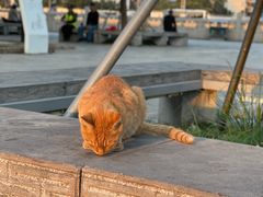 -相门城墙文化休闲景区