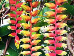 -槟城街头艺术街区