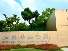 -羊山湖公园