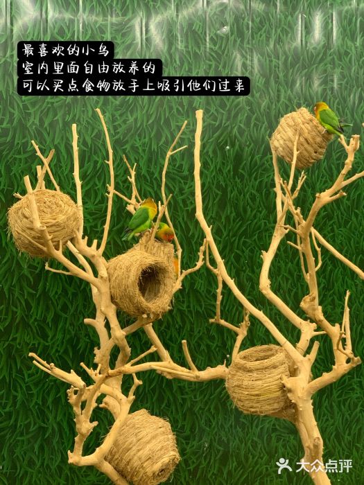 荆州中山公园动物园图片
