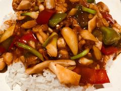 田鸡盖浇饭-冰岛茶餐厅(世茂店)