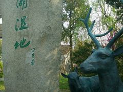 android_upload_pic-溱湖国家湿地公园