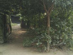 -勇士之星真人CS·团建·拓展(清水河公园店)