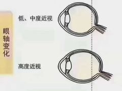 -宝视达眼镜(美中城店)