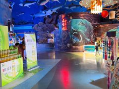 -烟台海昌鲸鲨海洋公园