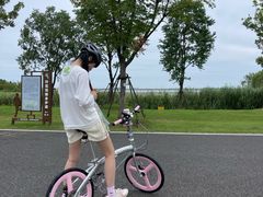 -DAHON大行折叠自行车(松江旗舰店)