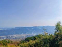 -冶父山国家森林公园