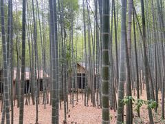 -苏州环秀晓筑养生度假村