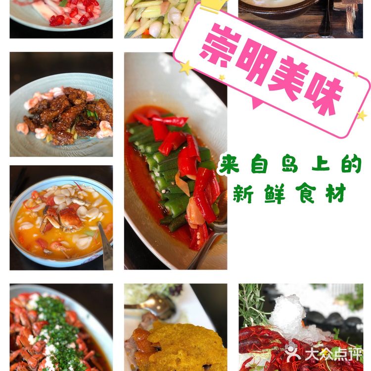 崇明十二时辰🌟在金茂体验🐎背上的快意｜魔都周边旅游攻略📝