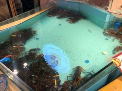 -云天楼国鼎喜宴中心(国鼎店)