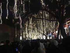 -大雁塔北广场音乐喷泉