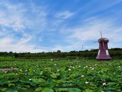 -武汉紫薇都市田园