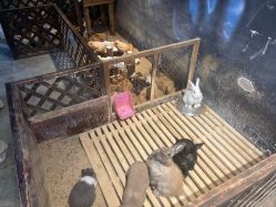 -酷嗒动物文化乐园(cutezoo西溪乐天城店)