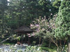 -庐山风景区花径公园