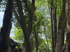 -土砂锅生态山庄·非遗砂锅雅鱼