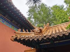 -戏马台景区
