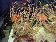 -沈阳海洋探索中心