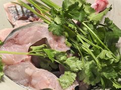 生态江团鱼-老凯俚酸汤鱼(多彩城店)