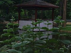 -深圳国际园林花卉博览园