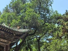 -晋祠博物馆