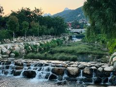 -泰山风景名胜区-虎山公园