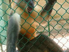 -广东茂名森林公园