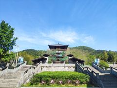 -大唐贡茶院
