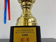 -天猫养车贴膜轻改·蓝电(优匹康桥东路店)