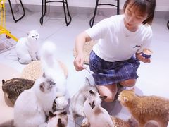 -Heymao猫咖.咖啡厅(东门店)