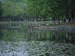 -白塘生态植物园