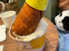 -LUNEURS月乐诗·法式冰淇淋(环贸店)