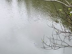 -南京市无想山景区