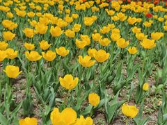 -长春公园(普阳街道)