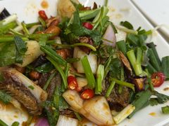 -大孩龙虾(体育场旗舰店)