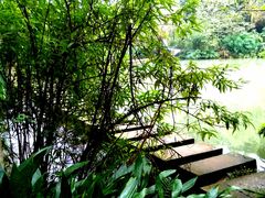 -桤木河湿地公园