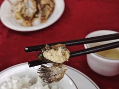 -蛇口康乐快餐鱼仔档(翠苑小区店)