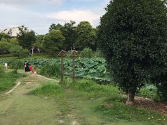 -美兰湖景区