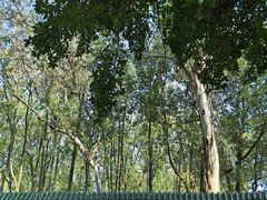 -阆中古城-川北道署