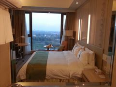 从厕所看大床-南阳建业森林半岛假日酒店